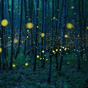 免费国产凹凸在线视频
