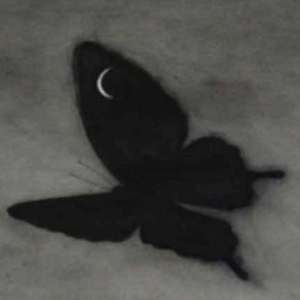 免费国产凹凸在线视频
