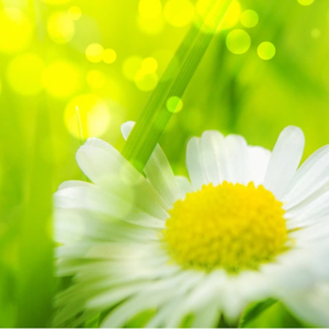 免费国产凹凸在线视频
