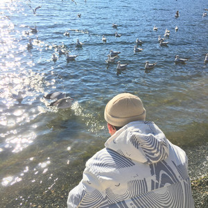 免费国产凹凸在线视频
